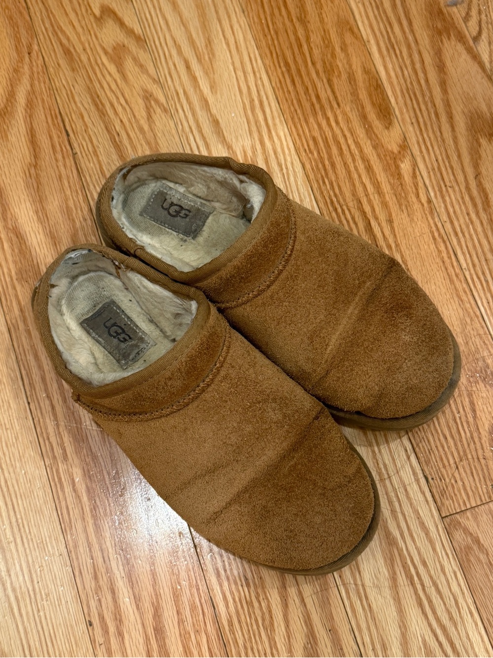 UGG classic slipper in chestnut